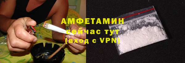 молекула духа Богородицк