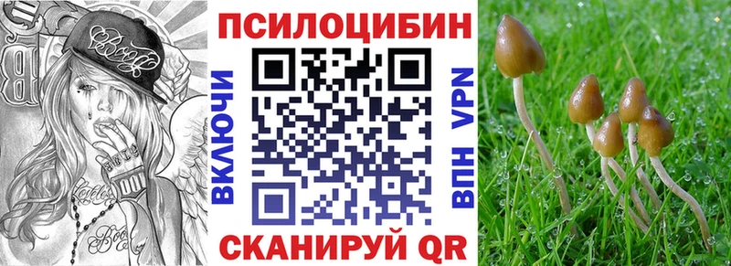 Псилоцибиновые грибы Cubensis  Купить закладки  Кулебаки 